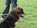 img 056